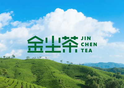 金尘茶茶叶新版网站建设开发完成-案例展示